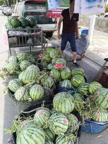 武都吃瓜网红事件视频